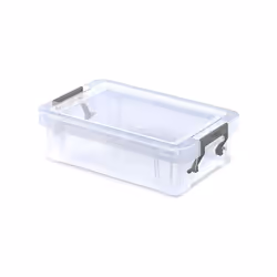 storage box Allstore 800 ml 20 x 13 cm polypropylene