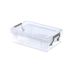 storage box Allstore 800 ml 20 x 13 cm polypropylene
