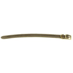 Timberwolf Leather Collar Sable 16mm X26-31cm