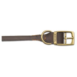 Timberwolf Leather Round Collar Sable 28-36cm Sz 3