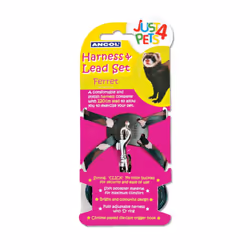 Just 4 Pets Ferret Harness & Lead Set