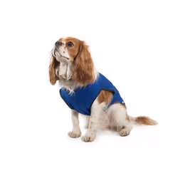 Ancol Cooling Dog Vest Coat, Small
