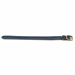 Timberwolf Leather Collar Blue 16mm X26-31cm