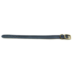 Timberwolf Leather Collar Blue 16mm X26-31cm