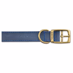 Timberwolf Leather Collar Blue 22mm X39-48cm