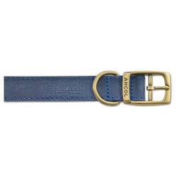 Timberwolf Leather Collar Blue 22mm X39-48cm