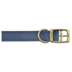 Timberwolf Leather Collar Blue 25mm X45-54cm