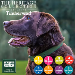 Timberwolf Leather Collar Green 55-63cm Size 8
