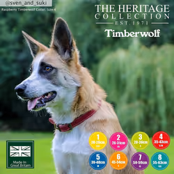 Timberwolf Leather Collar Raspberry 55-63cm Size 8
