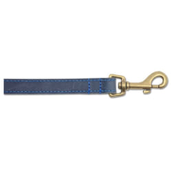 Ancol Timberwolf Leather Dog Lead, 1 m, Blue