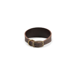 Ancol Timberwolf Whippet Leather Dog Collar, Sable