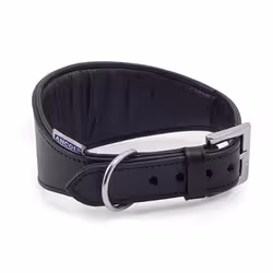 Heritage Leather Padded Greyhound Collar Black 35-48cm Sz 4-5