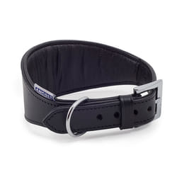 Heritage Leather Padded Greyhound Collar Black 35-48cm Sz 4-5
