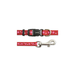 Small Bite Collar & Lead Set Stars Red