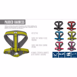 Viva Padded Harness Blue M 41-53cm