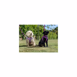 Viva Padded Harness Purple XL 70-98cm