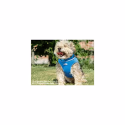 Viva Mesh Dog Harness Blue Small (fits girth 34-45 cm)