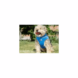 Ancol Viva Mesh Dog Harness Blue Medium (fits girth 44-57cm)