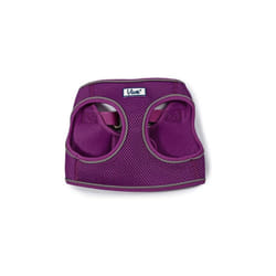 Step-in Mesh Harness Purple Medium