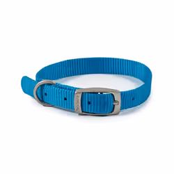 Ancol Viva Buckle Dog Collar 1 20-26cm Blue
