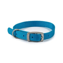 Ancol Viva Buckle Dog Collar 1 20-26cm Blue