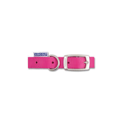 Heritage Nylon Collar Raspberry 12mm X26-31cm Sz2