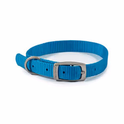 Ancol Viva Buckle Dog Collar 2 26-31cm Blue