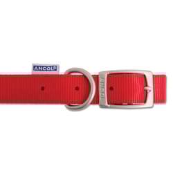 Heritage Nylon Collar Red 15mm X28-36cm Sz3