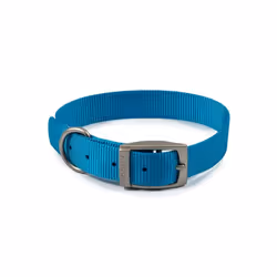 Ancol Viva Buckle Dog Collar 3 28-36cm Blue