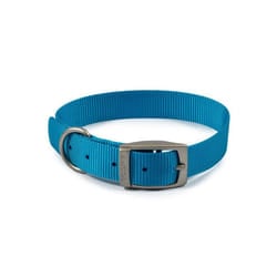 Ancol Viva Buckle Dog Collar 3 28-36cm Blue