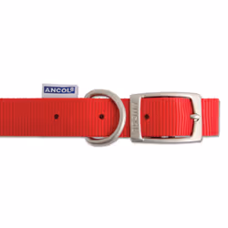 Heritage Nylon Collar Red 25mm X39-48cm Sz 5