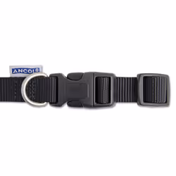 Heritage Nylon Adjustable Collar Black 15mm X20-30cm Sz1-2