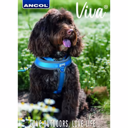 Viva Quick Fit Adjustable Collar, Blue, Size 5-9 to Fit 45-70 cm, Weatherproof