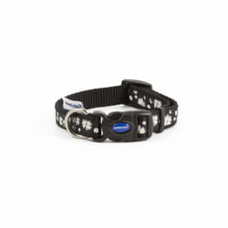 Fashion Adjustable Nylon Collar Black Daisy 20-30cm