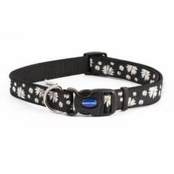 Fashion Adjustable Nylon Collar Black Daisy 45-70cm