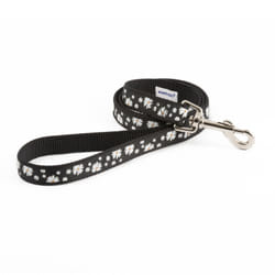 Fashion Nylon Lead Black Daisy 19mm X1m