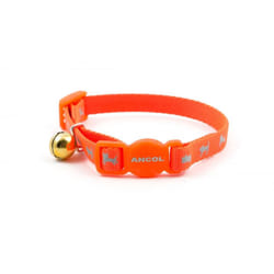 Safety Buckle Kitten Collar Hi-vis Orange