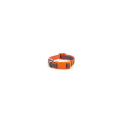 Fashion Nylon Adjustable Collar Orange Bone 20-30cm Sz1-2