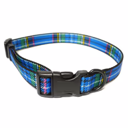 Indulgence Nylon Adjustable Collar Tartan Blue 30-50cm Sz 2-5