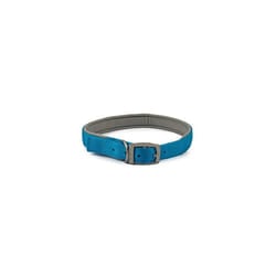 Padded Viva Collar with Buckle Blue 45-54 cm Size 6 L