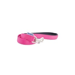 Heritage Nylon Padded Lead Raspberry 25mm X1.8m