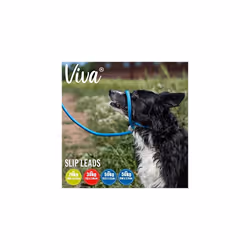 Viva Reflective Rope and Real Leather Slip Lead 150 x 1.2cm BLUE