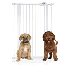 Bettacare Child and Pet Gate - White, 75cm - 83cm