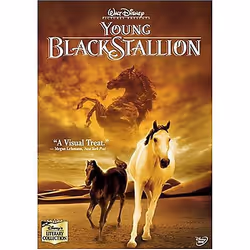 Disney Young Black Stallion, DVD, English, Family, 2D, 1 discs, Family