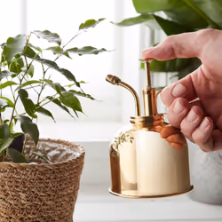 Brass Mist Plant Sprayer With Plunger 300ml
