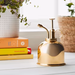 Brass Mist Plant Sprayer With Plunger 300ml