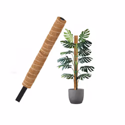 Coco Fibre Moss Pole Climbing Plant Support Cane Non Extendable 60cm