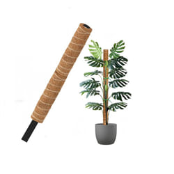 Coco Fibre Moss Pole Climbing Plant Support Cane Non Extendable 60cm
