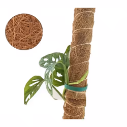 Coco Fibre Moss Pole Climbing Plant Support Cane Non Extendable 60cm