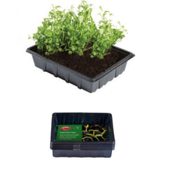 10 Small Seed Trays Plastic Seeding Starter Tray Reusable 21.5 x 17cm